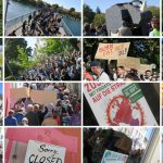 Eindrücke vom Globalen Klimastreik Konstanz