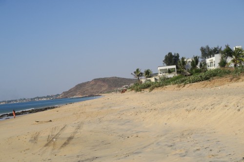 IMG 5593