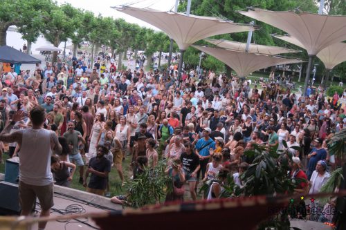 Reggae In My Garden 2025119