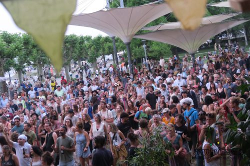 Reggae In My Garden 2025121
