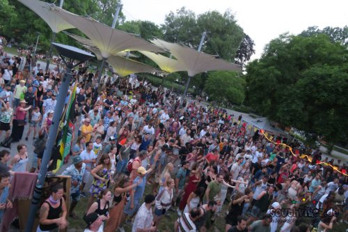 Reggae In My Garden 2025153
