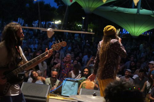 Reggae In My Garden 2025191