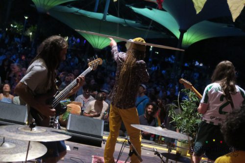 Reggae In My Garden 2025202
