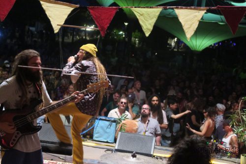 Reggae In My Garden 2025232