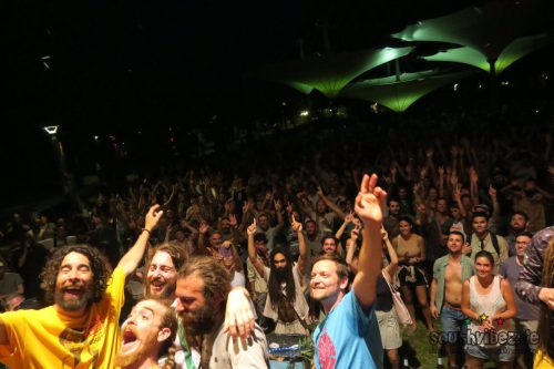 Reggae In My Garden 2025257