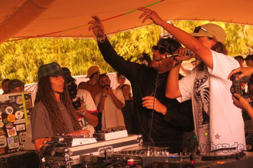 erva festival 1038