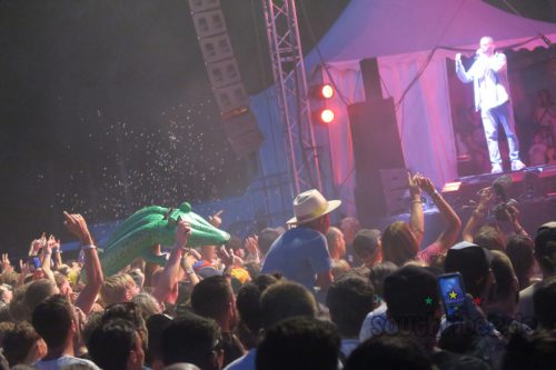 erva festival 1113
