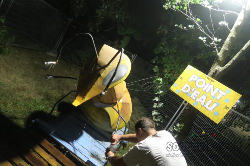 erva festival 1128