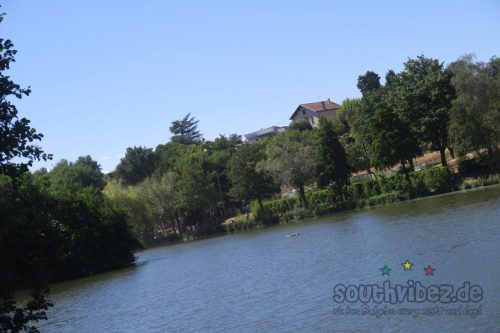 erva festival 2004