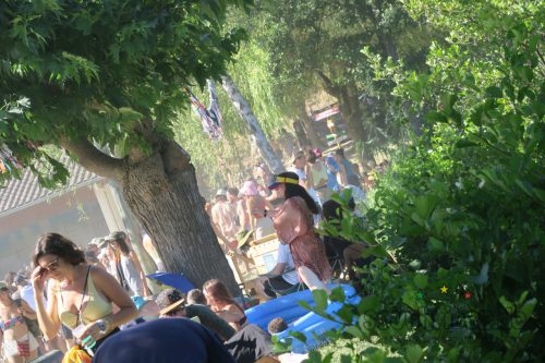 erva festival 2015