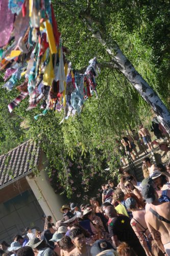 erva festival 2020