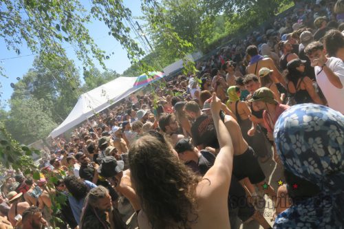 erva festival 2029