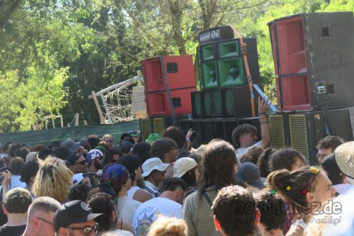 erva festival 2031