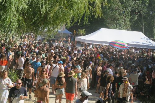 erva festival 2042