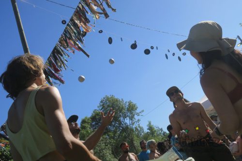 erva festival 2060