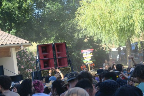 erva festival 2065