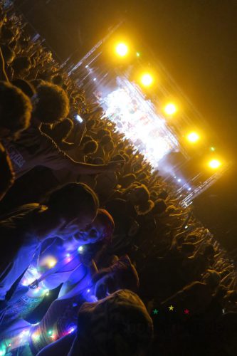 erva festival 2229