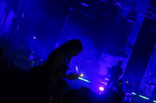 erva festival 2238