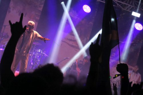 erva festival 3006