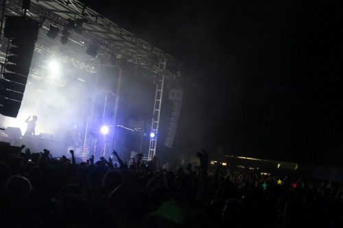 erva festival 3061