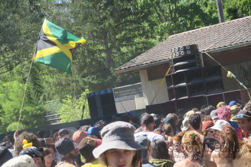 erva festival 3098