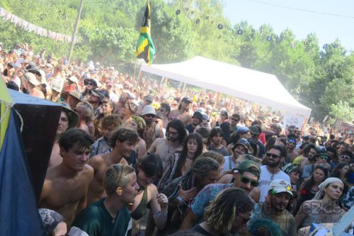 erva festival 3101