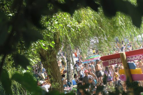 erva festival 3233