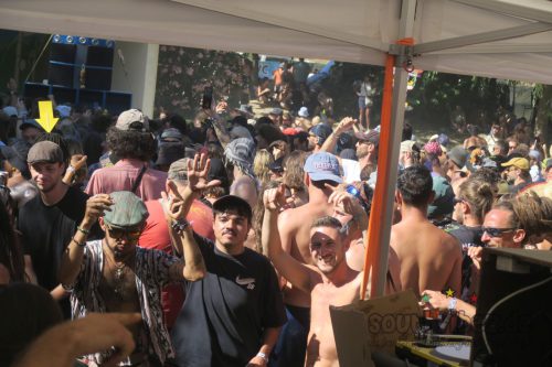 erva festival 3241