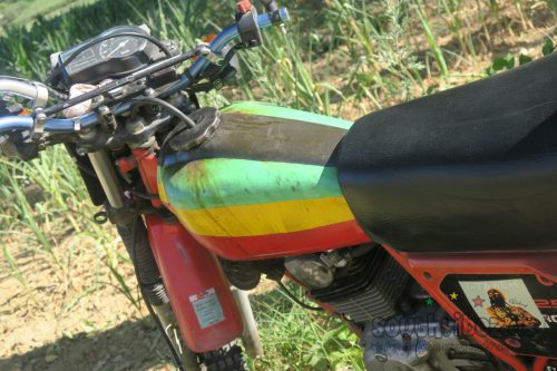 erva festival 3281