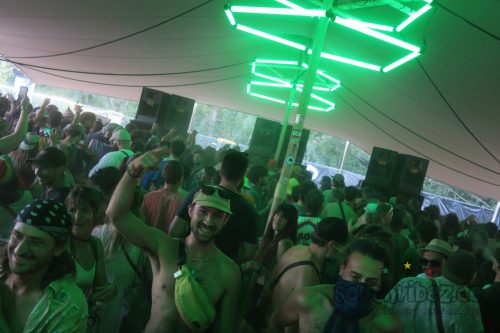 erva festival 3378