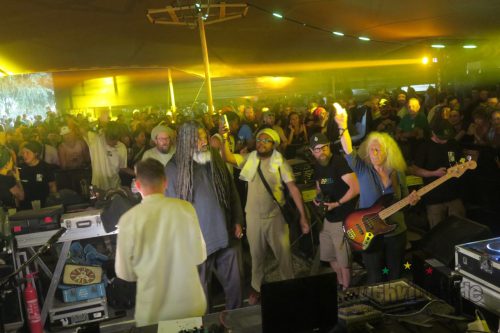 erva festival 3418