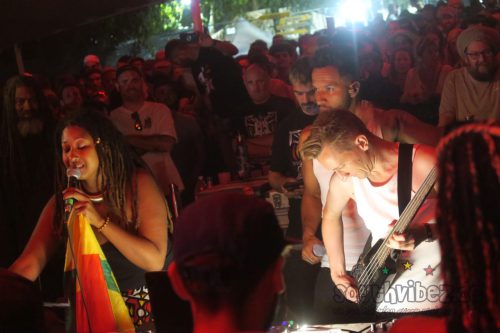 erva festival 3454
